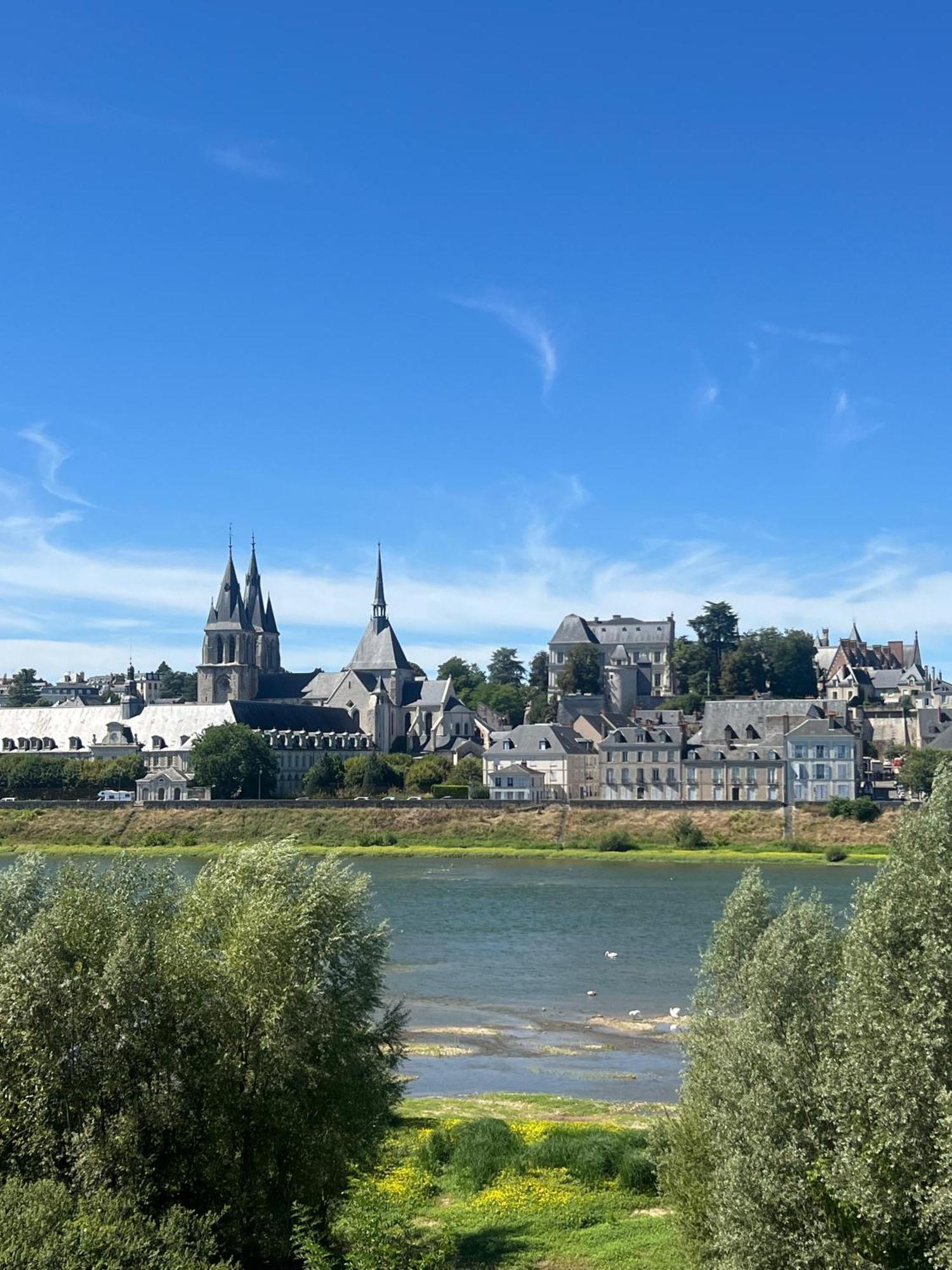 Quai De La Loire Apartamento Blois Exterior foto